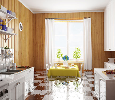 Water Damage